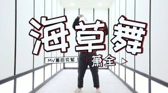 萧全抖音歌曲《海草舞》