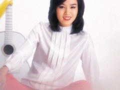 林淑容歌曲《伤痛的心》