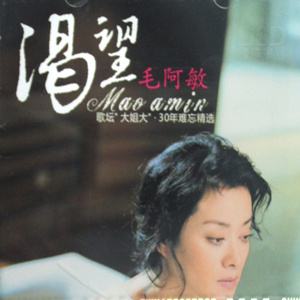 毛阿敏 《渴望》