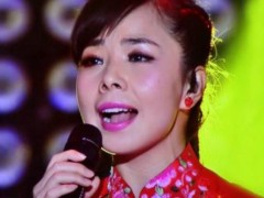 王二妮/王小妮歌曲《献给阿妈的歌》