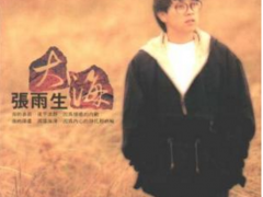 张雨生歌曲《大海》歌词+试听有感