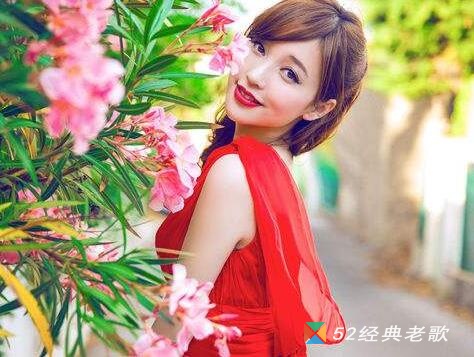 金莎歌曲《他不爱我》