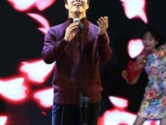 费玉清歌曲《几多愁》歌词+试听有感