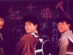 小虎队歌曲《红蜻蜓》试听有感