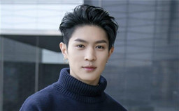 当下流量明星都是怎么火起来的,当红明星火的方式各是什么?