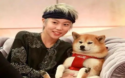 窦靖童作品,窦靖童歌曲大全100首